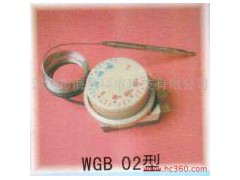 供應(yīng)溫控器,F2000,A冷柜溫控器 WGE-35-- 深圳市海星科電科技有限公司
