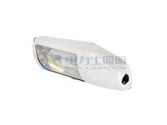 電力士供應(yīng)高光效、無(wú)頻閃、損耗低、恒功率路燈無(wú)極燈-- 無(wú)極燈廠(chǎng)家—廣東電力士科技照明有限公司