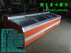 中衛哪里有賣海鮮冷藏柜\中衛哪里有賣海鮮冷凍柜-- 合肥德爾曼商用設備公司