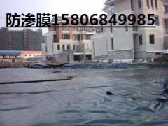 復合土工膜廠家2013年全面降低優(yōu)惠-- 陵縣華龍化纖有限公司