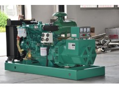 領馭牌康明斯發電機組-- 江蘇領馭電機有限公司