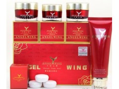 天使之翼護膚養(yǎng)顏套裝，天使之翼4件套-- 廣西南寧市護膚精品化妝品公司銷售部