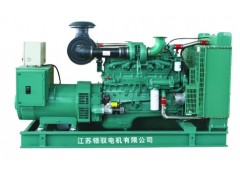 領馭牌康明斯220-1300kw柴油發電機組-- 江蘇領馭電機有限公司