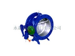 溫州哪里的HH47X蝶式緩沖止回閥價格便宜？-- 永嘉縣永華閥門有限公司