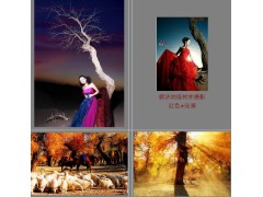 額濟納胡楊林戶外旅游攝影團,露營篝火海客最專業-- 安徽海客拓展培訓服務有限公司
