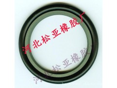 松亞橡膠專業(yè)批發(fā)各種格萊圈/斯特封-- 河北松亞橡膠廠