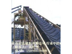 青島大傾角波狀擋邊輸送帶大傾角擋邊膠帶-- 青島宏基橡膠有限公司