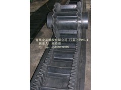 裙邊帶防撕裂波狀擋邊帶大傾角擋邊帶qd4-- 青島宏基橡膠有限公司