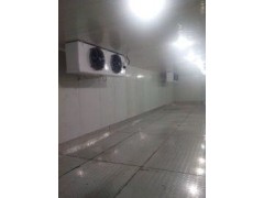 格美制冷設備專業批發各種冷凍庫-- 東莞市格美制冷設備有限公司