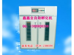 山東鑫鑫全自動孵化機鴿子孵化機鵪鶉孵化機www.xinxinfuhua.com-- 山東鑫鑫孵化設(shè)備廠