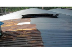 鋼結構瓦面防腐補漏找佛山市恒偉防水補漏公司百度推薦-- 佛山市恒偉防水補漏裝飾公司