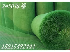 西安三維植被網(wǎng)廠家哪家有賣的？-- 泰安東岳工程材料有限公司