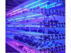 LED植物補(bǔ)光燈-- 北京渠道科學(xué)器材有限公司