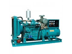 發(fā)電機(jī) 優(yōu)質(zhì)發(fā)電機(jī)廠家廣西玉柴發(fā)電機(jī) 鄭州攬電發(fā)電機(jī)批發(fā)-- 鄭州攬電機(jī)械設(shè)備有限公司