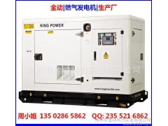 30KW天燃?xì)獍l(fā)電機(jī) 30KW沼氣發(fā)電機(jī) 30KW煤層氣發(fā)-- 深圳市金動(dòng)科力實(shí)業(yè)有限公司
