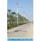 風光互補路燈，風光互補系統(tǒng)，垂直軸