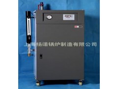 免辦鍋檢 自動(dòng)補(bǔ)水 36kw電蒸汽鍋爐-- 上海揚(yáng)諾鍋爐制造有限公司