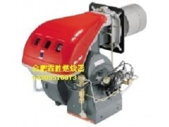 RL130燃油燃燒器-- 合肥市霖勝鍋爐熱能設(shè)備有限公司
