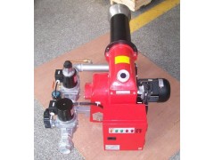 TG系列中小型雙段（全自動(dòng)大/小火控制）燃?xì)馊紵C(jī)）器-- 鄭州中威環(huán)保設(shè)備有限公司