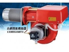 FS20燃?xì)馊紵?- 合肥市霖勝鍋爐熱能設(shè)備有限公司