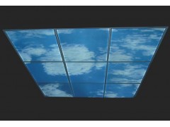 超薄發(fā)光天花板\地板\幕墻-- 廣州嘉慶電子有限公司