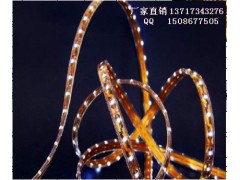 東莞專業(yè)生產(chǎn)LED軟條燈-- 東莞市品杰光電科技有限公司