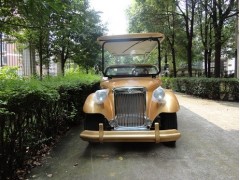 長沙豪華商務老爺車-- 豐日福悅電動車有限公司