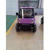 四輪成人電動汽車 全封閉鐵殼 油電混
