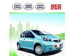 魯濱內燃觀光車-- 濱州大成電動車業有限公司