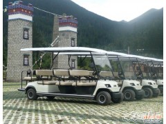 供應(yīng)臺州、溫州電動觀光車 電動老爺車 電動看房車 酒店迎賓車-- 東莞綠通高爾夫觀光車有限公司（臺州辦事處）