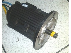 供應(yīng)48V3.5KW電動(dòng)平板車直流電機(jī)-- 常州永沛機(jī)電技術(shù)有限公司