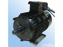 地軌車專用電機(jī),電動(dòng)軌道車電機(jī)-- 常州永沛機(jī)電技術(shù)有限公司