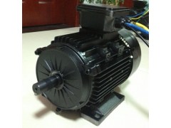 永磁無刷,永磁直流電動(dòng)機(jī)-- 常州永沛機(jī)電技術(shù)有限公司