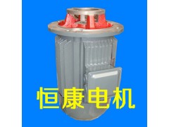 廠家提供油泵電機 CB-B齒輪泵配套液壓電機-- 江蘇恒康機電有限公司