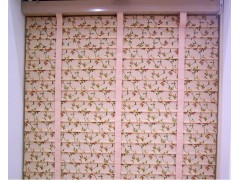 朗絲簾,朗絲百葉簾,廣州朗絲獨家供應(yīng)-- 廣州朗絲建材有限公司