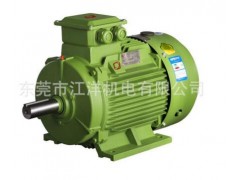 東莞YE2節(jié)能電機(jī)環(huán)球電機(jī)YE3 90L-4二級高效節(jié)能電機(jī)-- 東莞市江洋機(jī)電有限公司