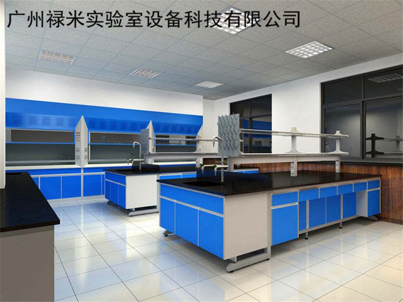 實驗臺，通風柜，天平臺，高溫臺，祿米專業(yè)承建實驗室家具工程-- 廣州祿米實驗室設備科技有限公司