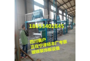 新型全自動(dòng)吸盤(pán)上模板玻鎂裝飾板設(shè)備廠家