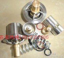 IngersollRand/英格索蘭30HP 空氣壓縮機卸荷閥-- 德闐壓縮機械（上海）有限公司
