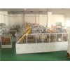 全自動裝箱機(jī)廠家,上海三合一自動裝