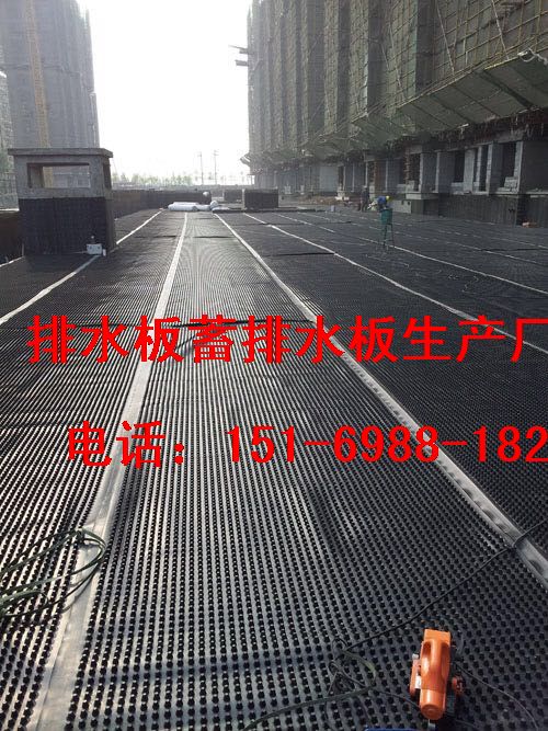北京3/5公分車庫頂板排水板～發(fā)貨克拉瑪依-- 泰安市澤瑞土工材料有限公司