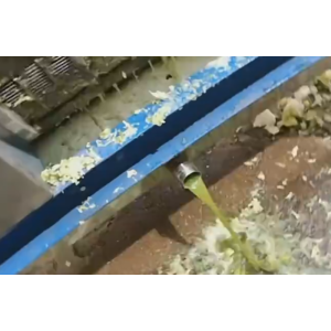 2019新型尾菜脫水_現(xiàn)場案例_尾菜脫水