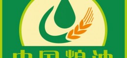 名企匯聚、大牌云集！2019中國油博會即將火爆來襲！