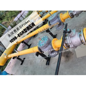 1098-EGR/6351穩(wěn)壓閥，1098備件包109