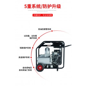 大澤動(dòng)力內(nèi)燃水泵機(jī)