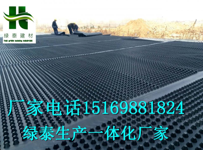 邯鄲20高車庫濾水板\保定2.5公分蓄排水板\注塑生產(chǎn)-- 泰安市澤瑞土工材料有限公司