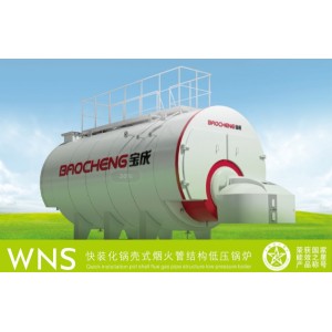 天津燃?xì)忮仩t 燃?xì)鉄崴仩tWNS蒸汽熱