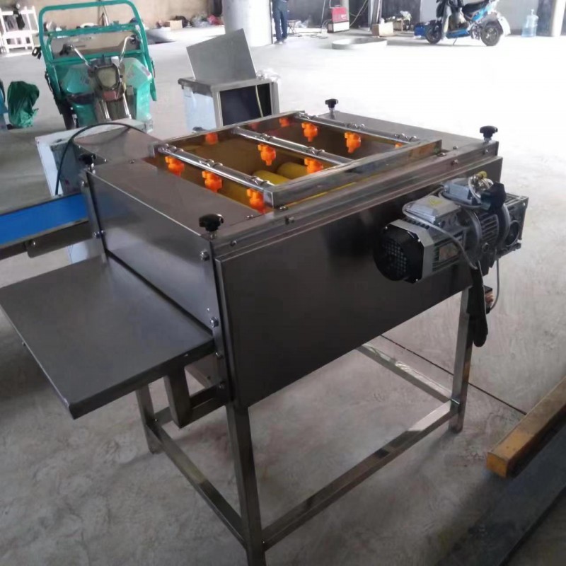 全自動(dòng)糯米粽葉清洗機(jī)設(shè)備 蘆葦葉洗葉機(jī)加工設(shè)備-- 諸城雷凌智能