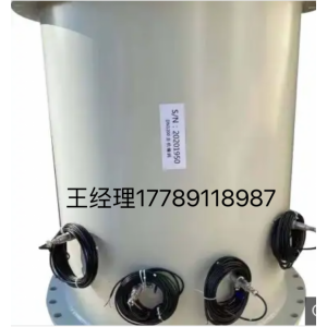 TDS-100F1AC 插入式超聲波流量計