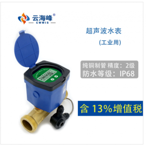 CWIS86系列——超聲波工業用電子智能